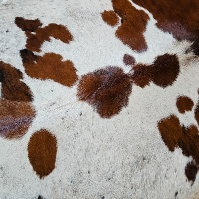 Tricolor Cowhide Rug Size 7'4" L x 7' W 6369