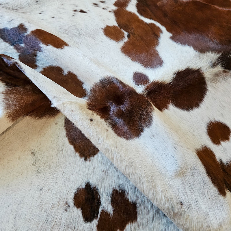 Tricolor Cowhide Rug Size 7'4" L x 7' W 6369