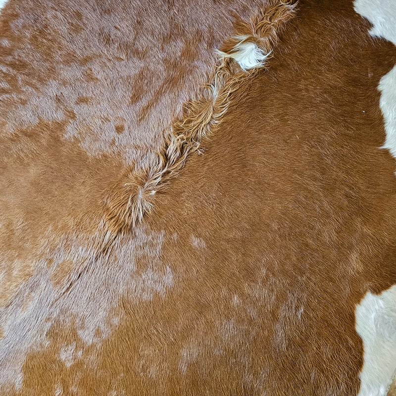 Brazilian Brown and White Cowhide Rug Size 6'11" L x 7'6" W 6663