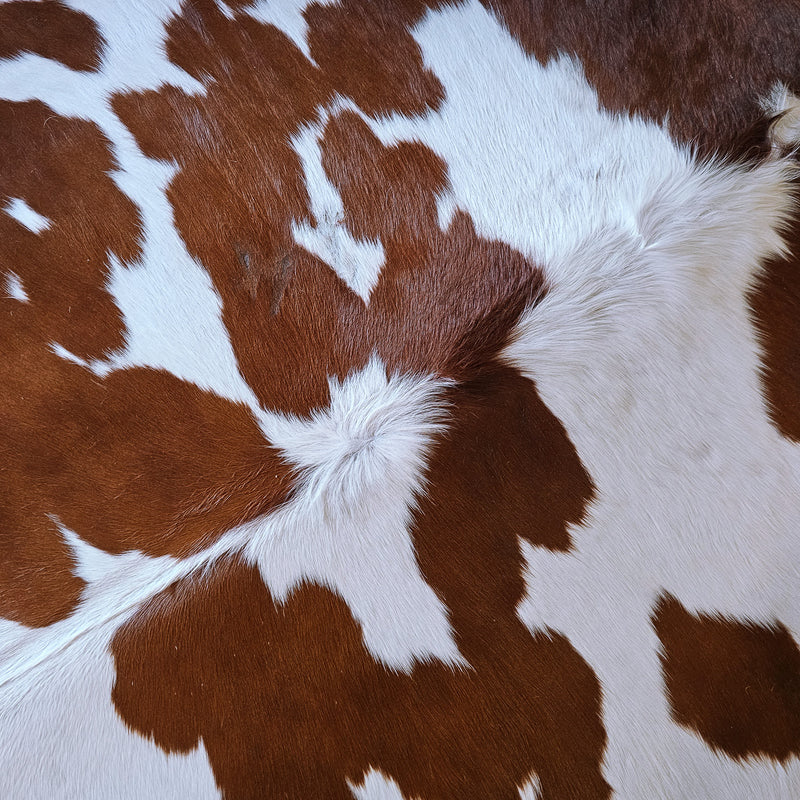 Brown and White Cowhide Rug Size 7'2" L x 6'11" W 6787