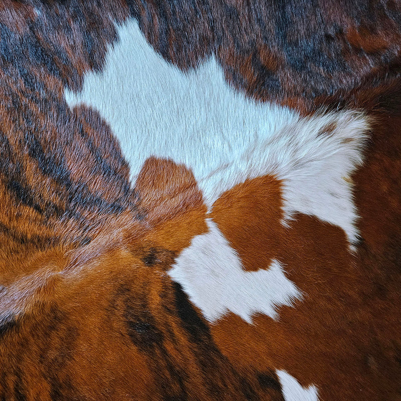 Tricolor Cowhide Rug Size 7'3" L x 7' W 7808