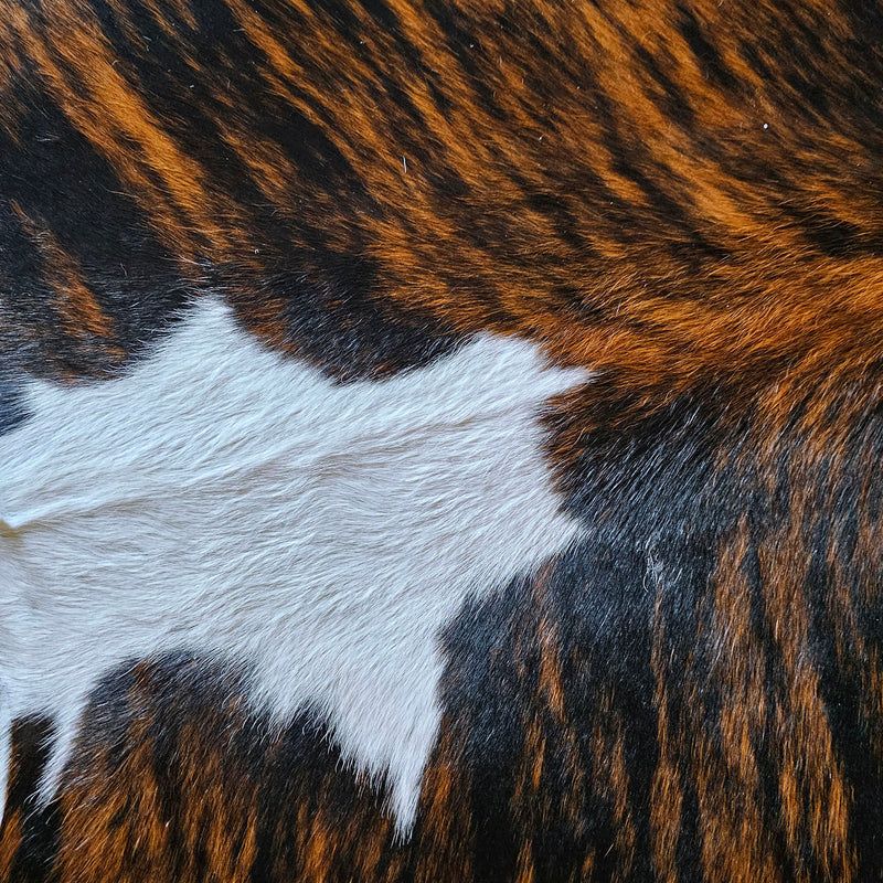 Tricolor Mix Cowhide Rug Size 7'8" L x 7'5" W 7861