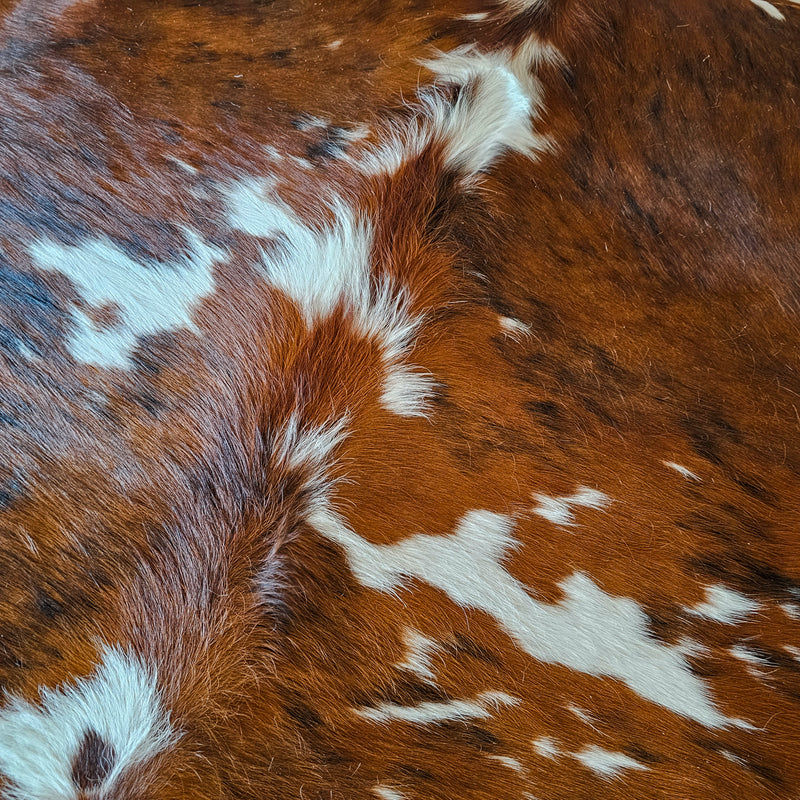 Tricolor Cowhide Rug Size 7'5" L x 6'9" W 7900