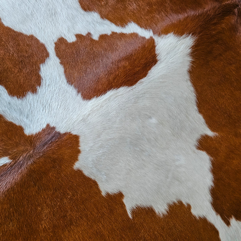 Brown and White Cowhide Rug Size 7'2" L x 6'9" W 7924