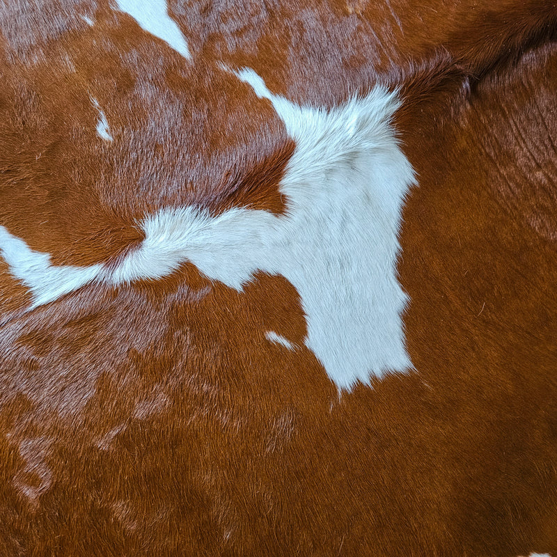 Brown and White Cowhide Rug Size 6'3" L x 6'5" W 7933