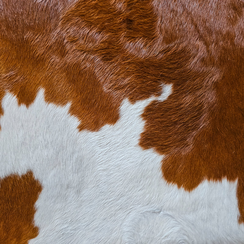 Brown and White Cowhide Rug Size 6'3" L x 6'5" W 7933