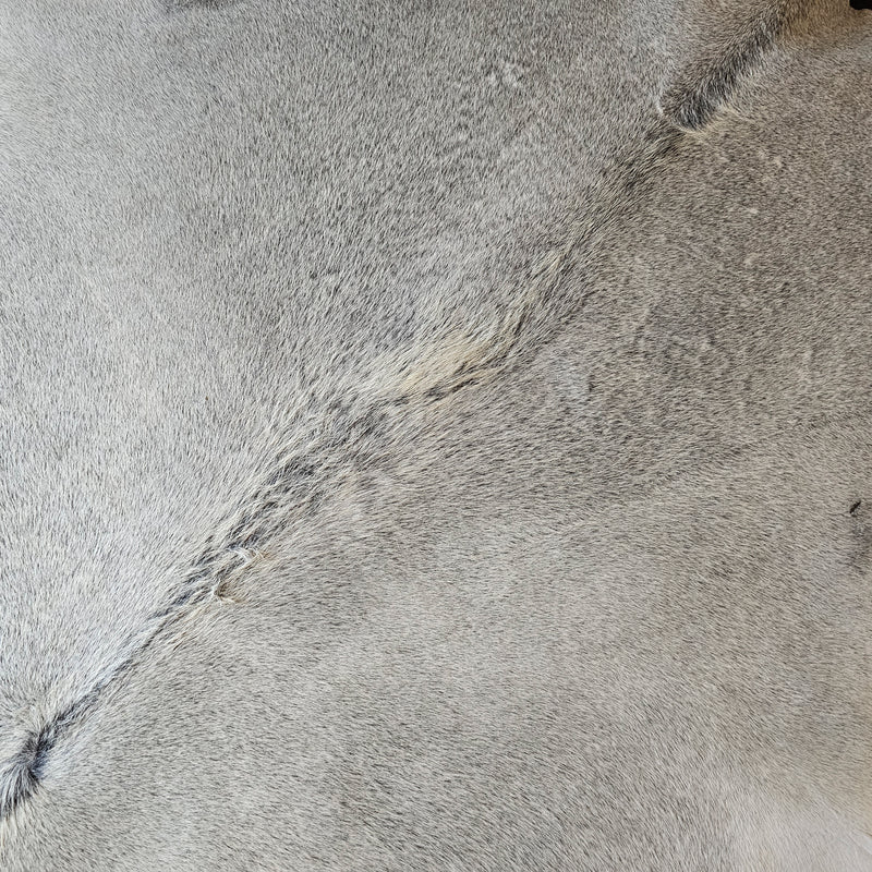 Grey Cowhide Rug Size 7'6" L x 7'7" W 8095