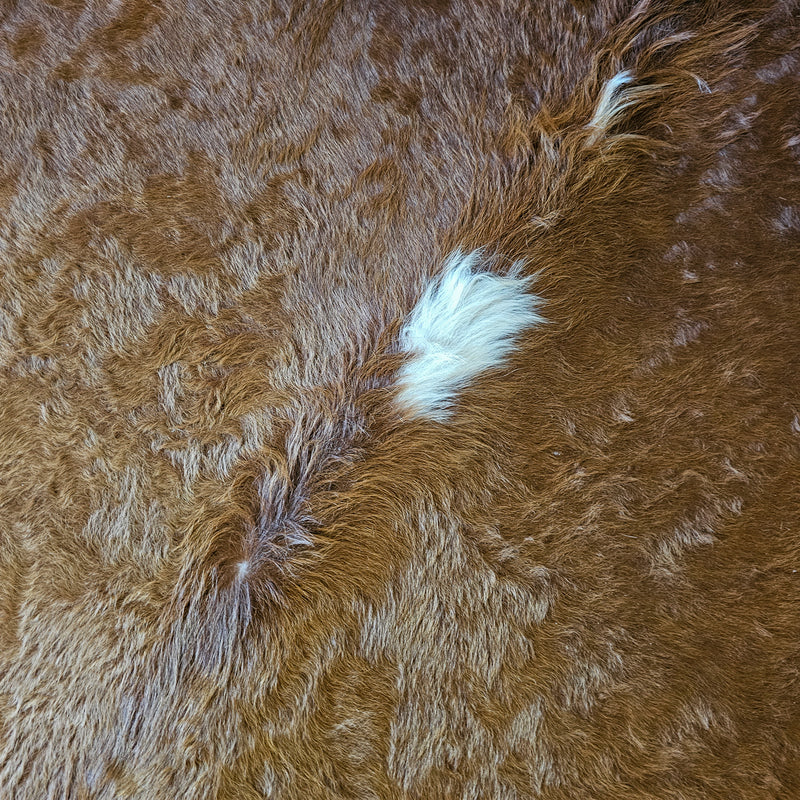 Brown and White Cowhide Rug Size 7'5" L x 7'3" W 8099