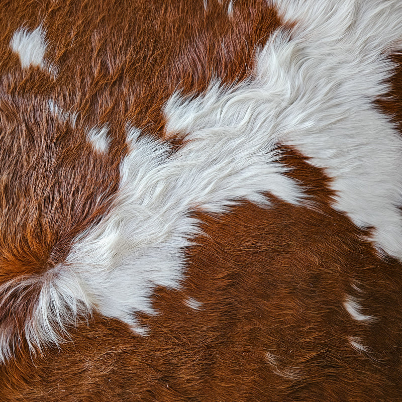 Brown and White Cowhide Rug Size 7'3" L x 7'2" W 8408