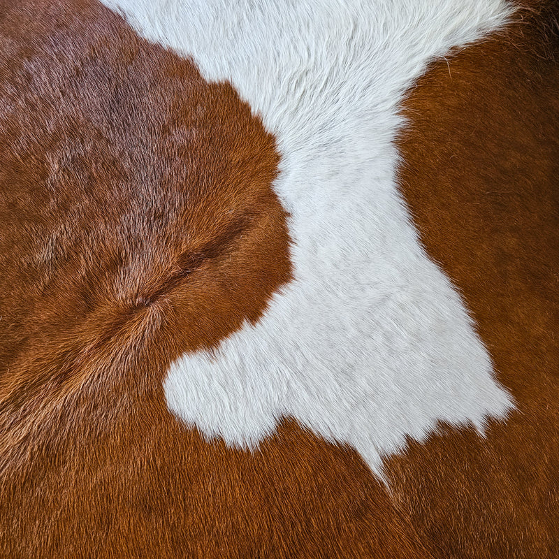 Brown and White Cowhide Rug Size 7'6" L x 7'4" W 8409