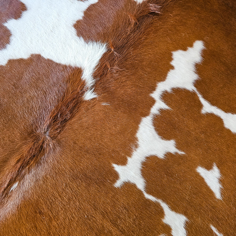 Brown and White Cowhide Rug Size 7'10" L x 7'2" W 8431