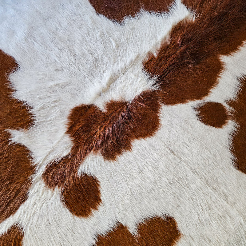 Brown and White Cowhide Rug Size 6'5" L x 6'3" W 8437