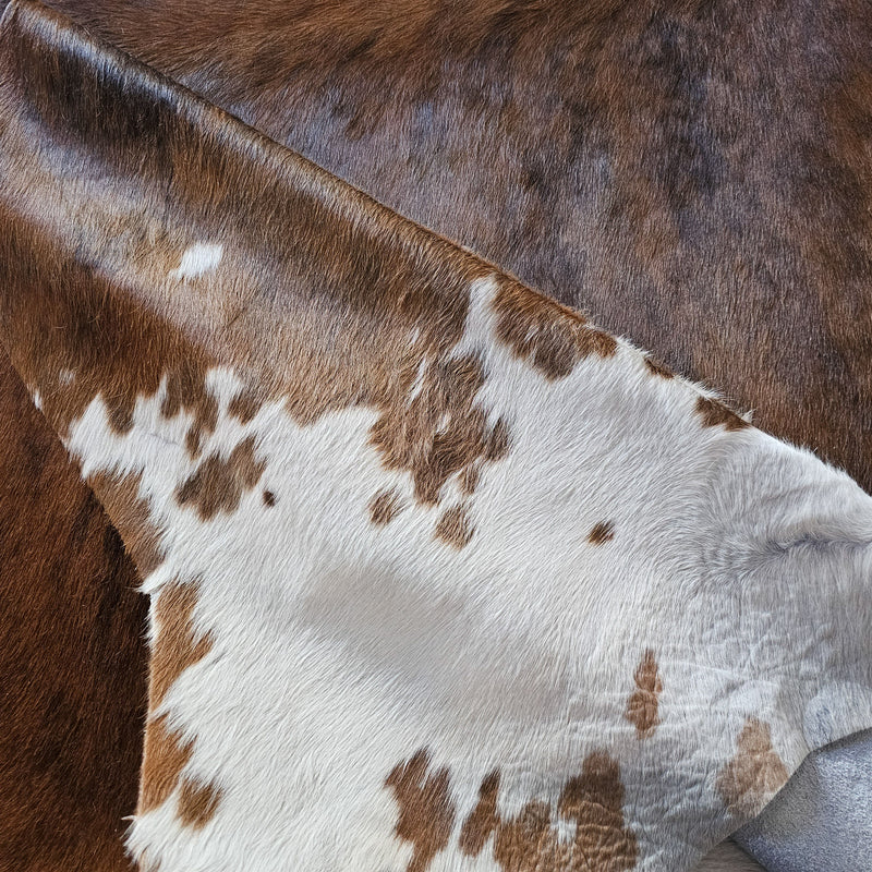 Brindle White Belly Cowhide Rug Size 8'0" L x 7'8" W 8485