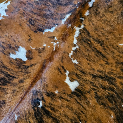 Tricolor Cowhide Rug Size 7'0" L x 7'1" W 8499