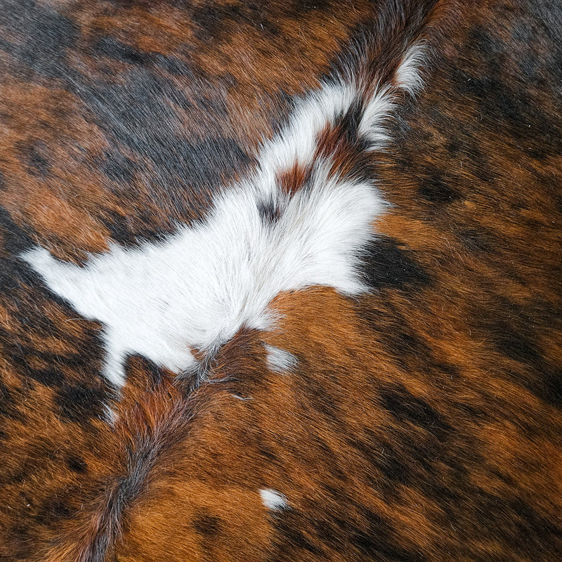 Tricolor Cowhide Rug Size 6'7" L x 6'5" W 8616