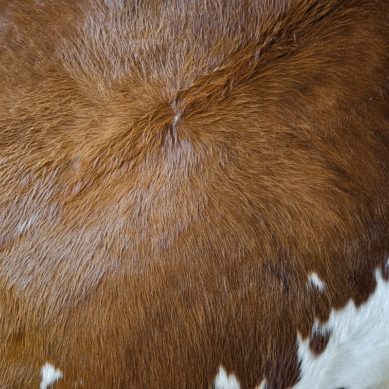 Brown and White Cowhide Rug Size 6'6" L x 6'7" W 8637