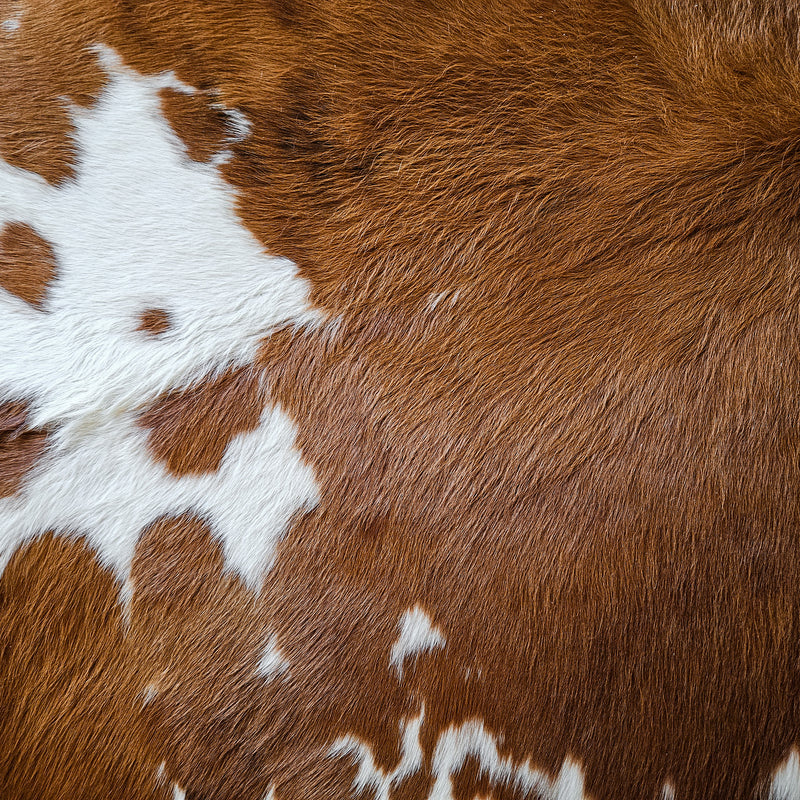 Brown and White Cowhide Rug Size 6'6" L x 6'7" W 8637