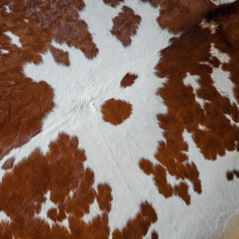 Brown and White Cowhide Rug Size 7'4" L x 8' W 8680