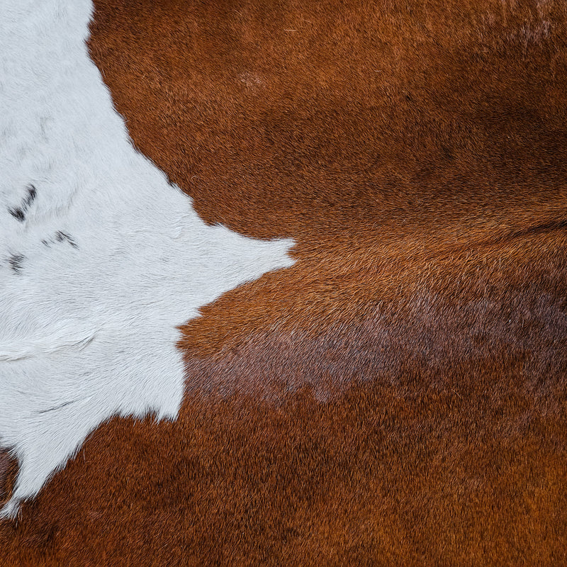 Chocolate and White Cowhide Rug Size 7'9" L x 7'3" W 8694