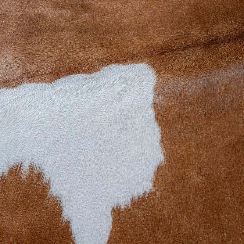 Brown and White Cowhide Rug Size 8'1" L x 6'11" W 8107