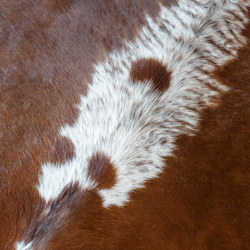 Brown and White Cowhide Rug Size 7'6" L x 6'9" W 8149