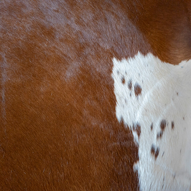 Brown and White Cowhide Rug Size 7'11" L x 6'9" W 8157