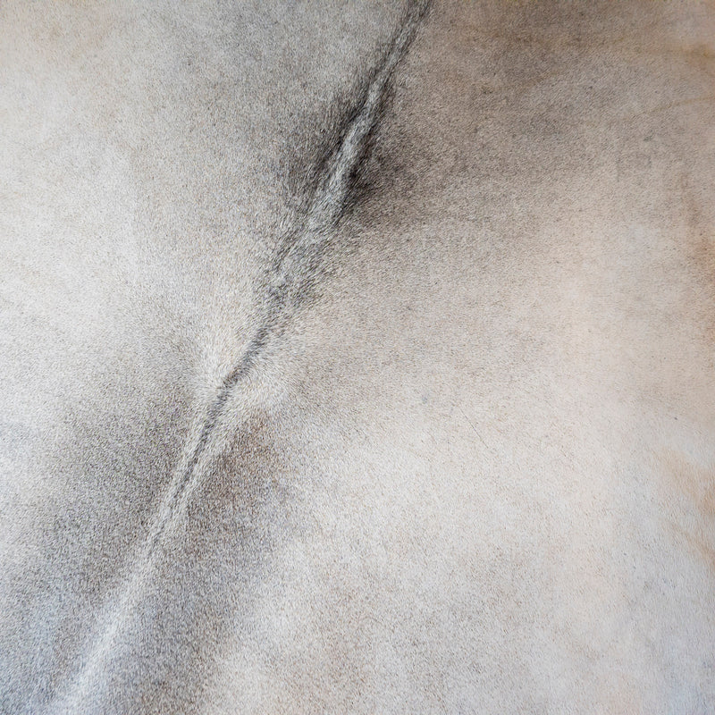 Brazilian Grey Cowhide Rug Size 7'8" L x 6'7" W 8161