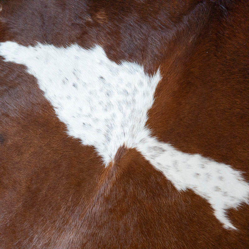 Brazilian Brown and White Cowhide Rug Size 6'11" L x 6'11" W 8188