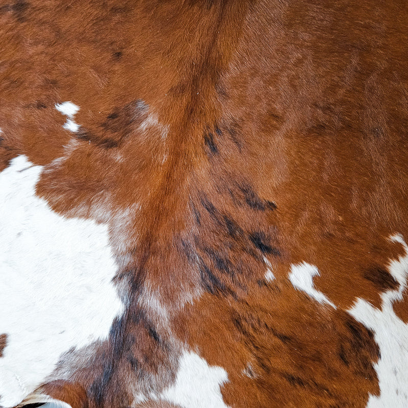 Tricolor Cowhide Rug Size 7'11" L x 6'7" W 9185