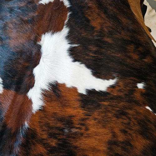 Tricolor Cowhide Rug Size 7'4" L x 7'0" W 9188