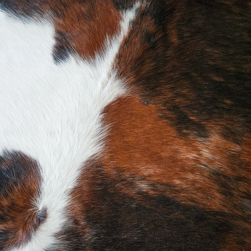 Tricolor Cowhide Rug Size 7'2" L x 7'0" W 9195