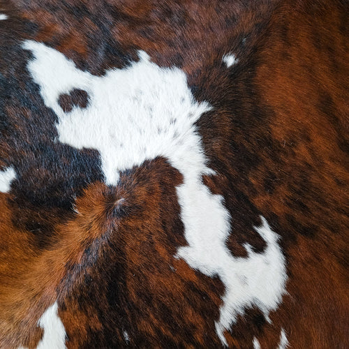 Tricolor Cowhide Rug Size 6'10" L x 6'5" W 9197