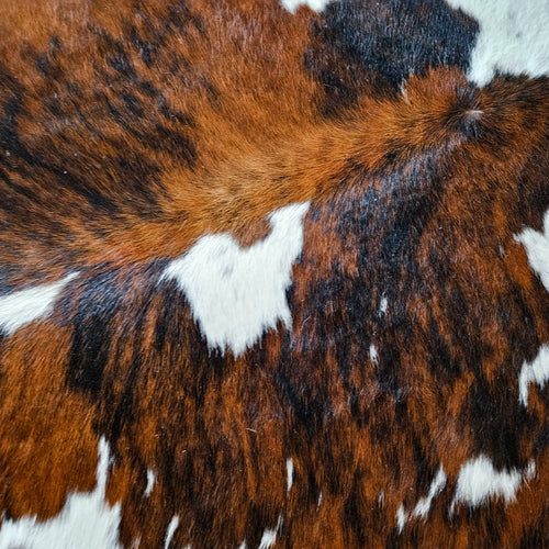 Tricolor Cowhide Rug Size 6'10" L x 6'5" W 9197