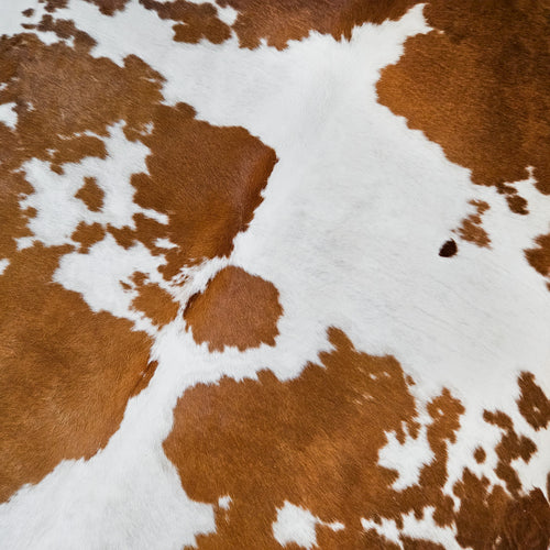 Brown and White Cowhide Rug Size 8'0" L x 7'4" W 9394