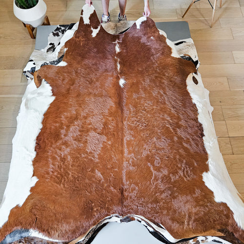 Brazilian Brown and White Cowhide Rug Size 7'5" L x 7'3" W 9343