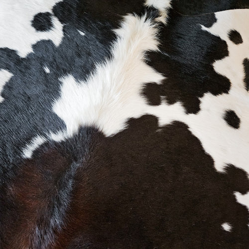 Brazilian Chocolate and White Cowhide Rug Size 7'6" L x 7'2" W 9362