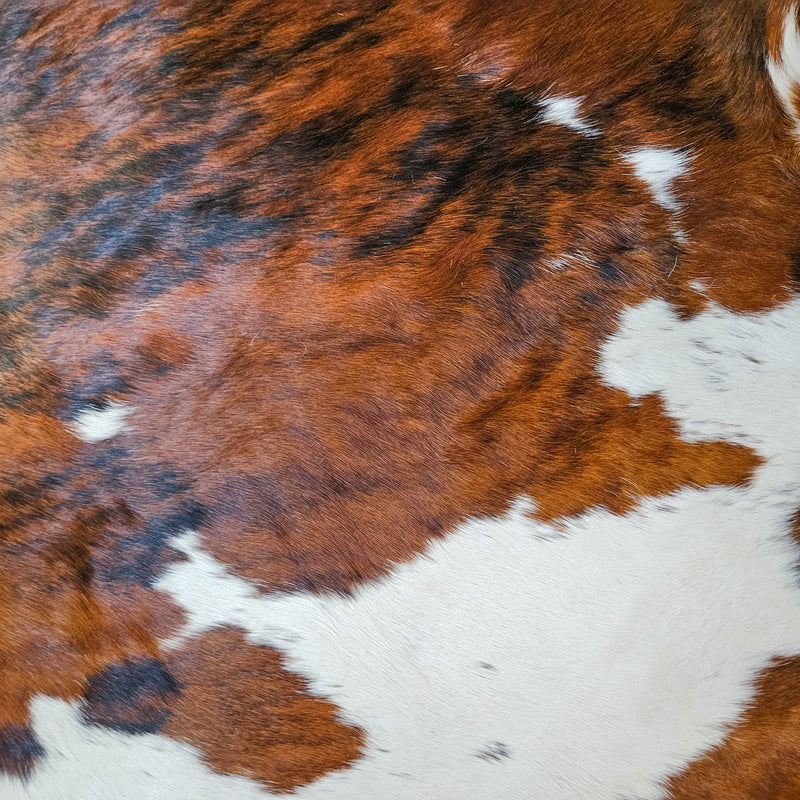 Brindle White Belly Cowhide Rug Size 6'8" L x 7'5" W 9498