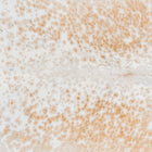 files/2053_a_b3370551-274a-4b8a-bec0-c584fc6cb244.jpg
