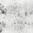 files/2055_a_b47be526-9e15-403b-b0d1-9e8814ec6e54.jpg