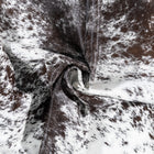 files/2066_b_2c7b3b83-89c3-43ba-8f6a-c2d60bb090a5.jpg