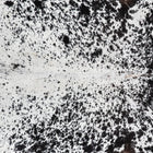 files/2070_a_29558d70-ea46-4336-bc4e-6963acb04365.jpg