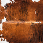 files/2110_a_71d0a0db-bceb-477d-9376-5c4387b31b88.jpg