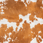 files/2123_a_f7515b64-c900-4cc7-8ad4-a4c71516234a.jpg