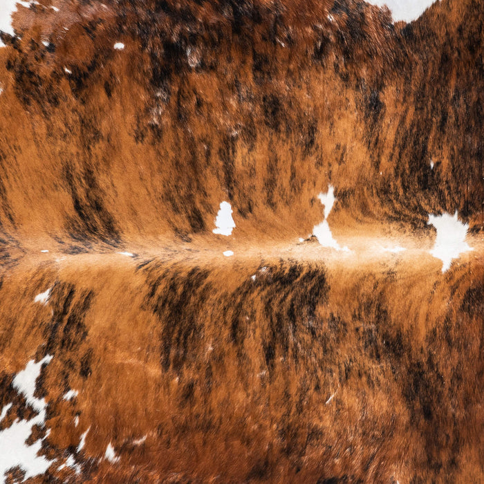 Vintage Brindle White Belly Cowhide Rug Size 7'10" L x 7'2" W 2158
