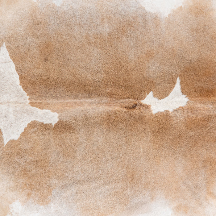 Brazilian Grey Palomino Cowhide Rug Size 8'3" L x 7'2" W 6122