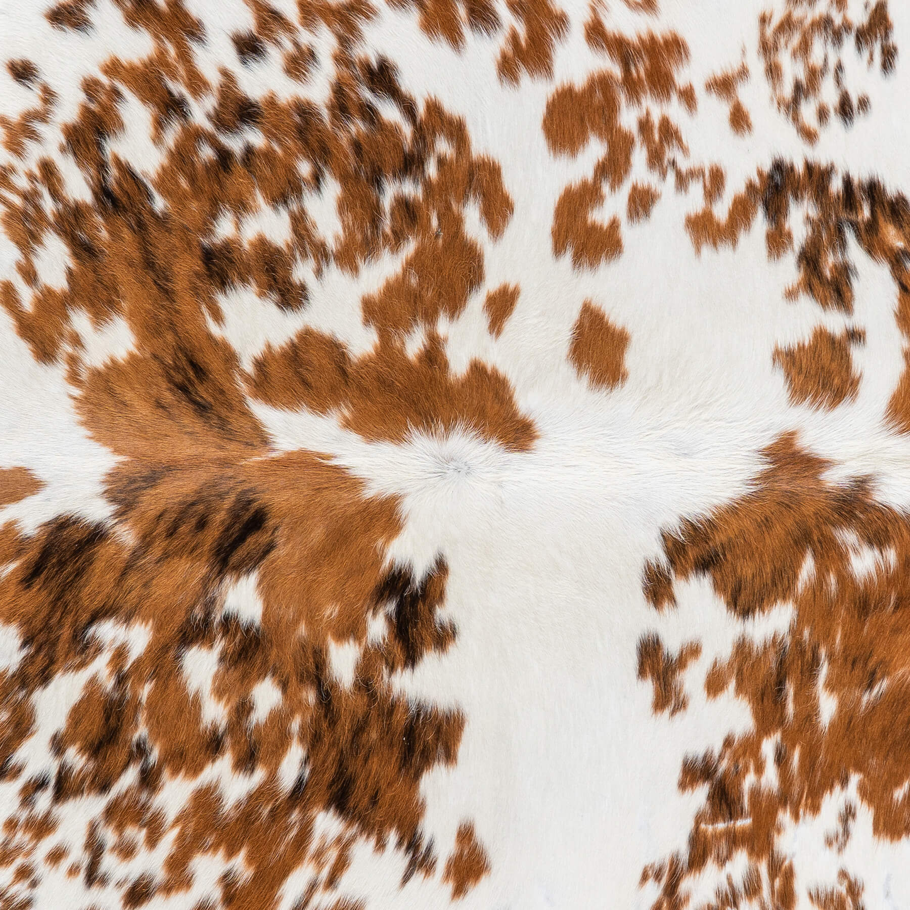 Vintage White Tricolor Cowhide Rug Size 7'0