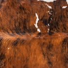 files/2226_a_b5e6b863-cc00-424f-817a-5ea38eaf3863.jpg