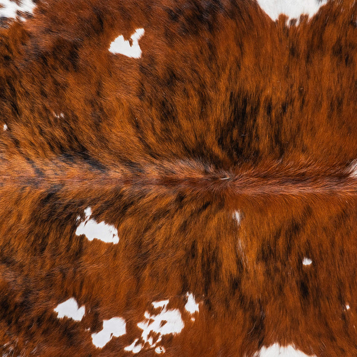 Vintage Brindle White Belly Cowhide Rug Size 5'9" L x 5'2" W 2239