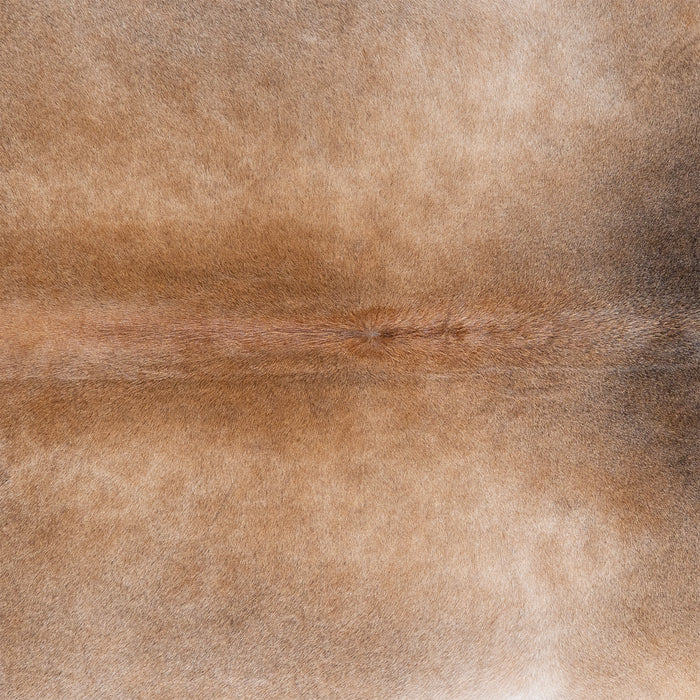 Brazilian Grey Palomino Cowhide Rug Size 8'2" L x 6'4" W 6123