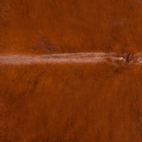 Brazilian Brindle White Belly and Backbone Cowhide Rug Size 7'7" L x 6'6" W 2310